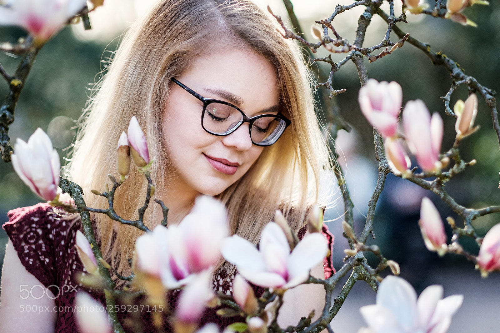 Fujifilm X-T2 sample photo. Beautiful magnolia photography
