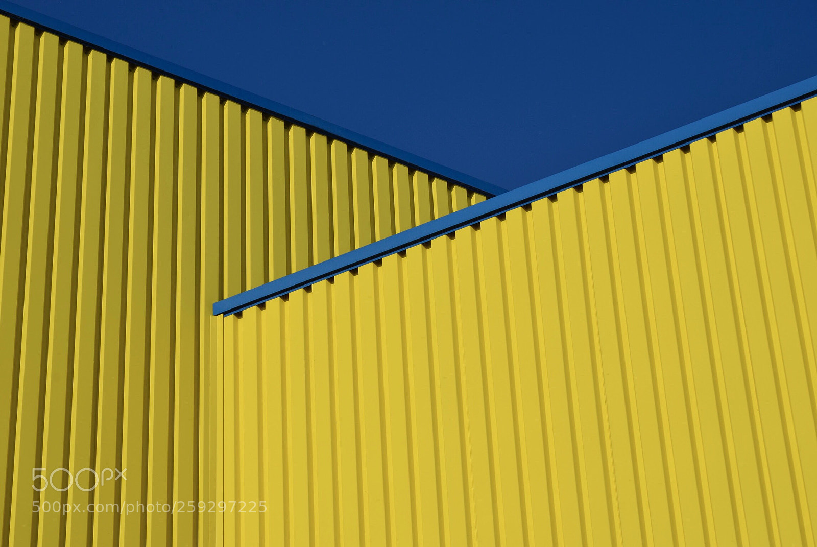 Nikon D7000 sample photo. Blue supports yellow  photography