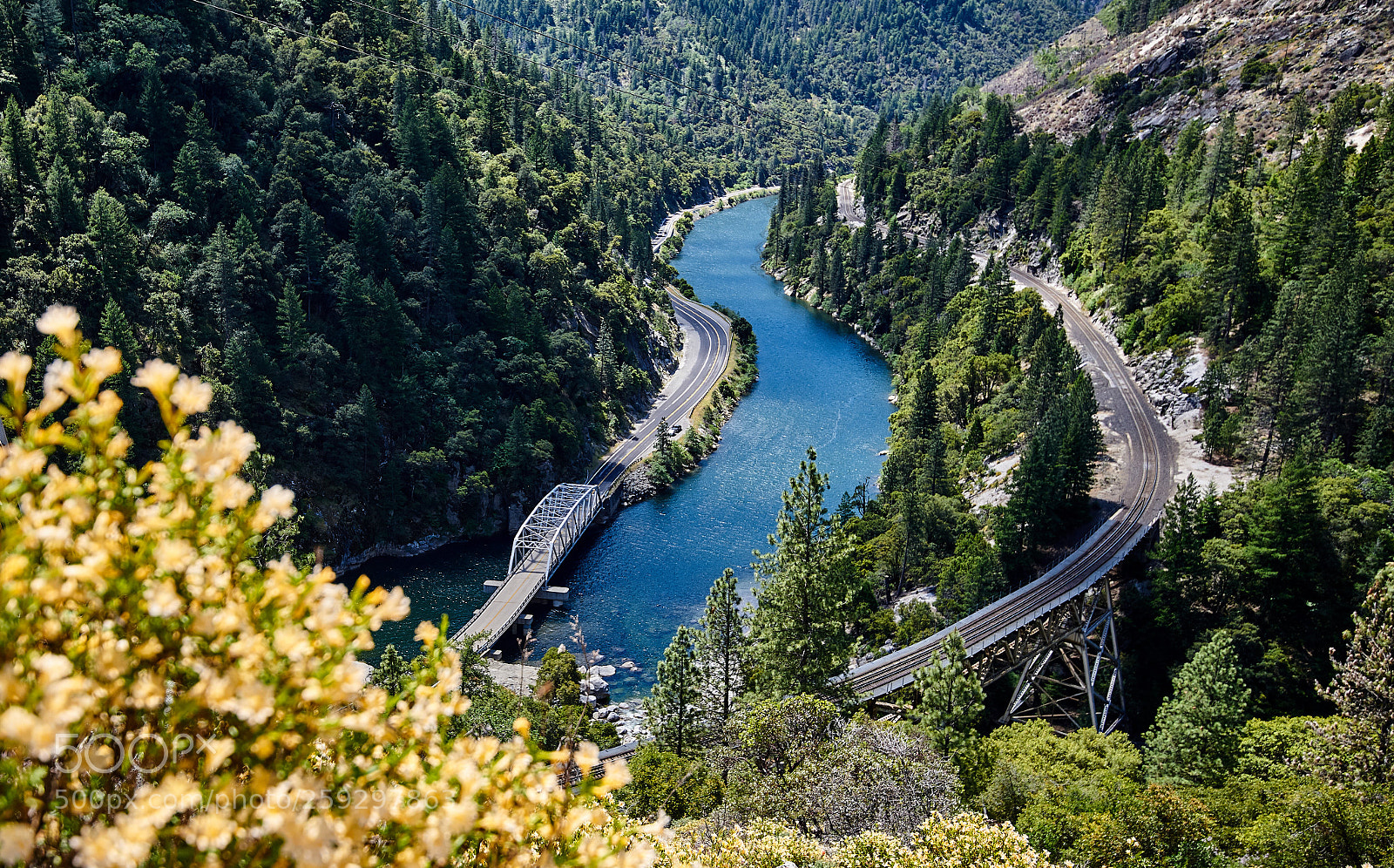 Nikon D610 sample photo. Feather river photography