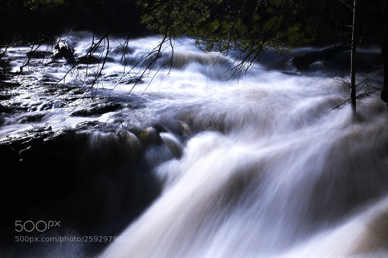 Canon EOS 6D sample photo. Nature lover photography