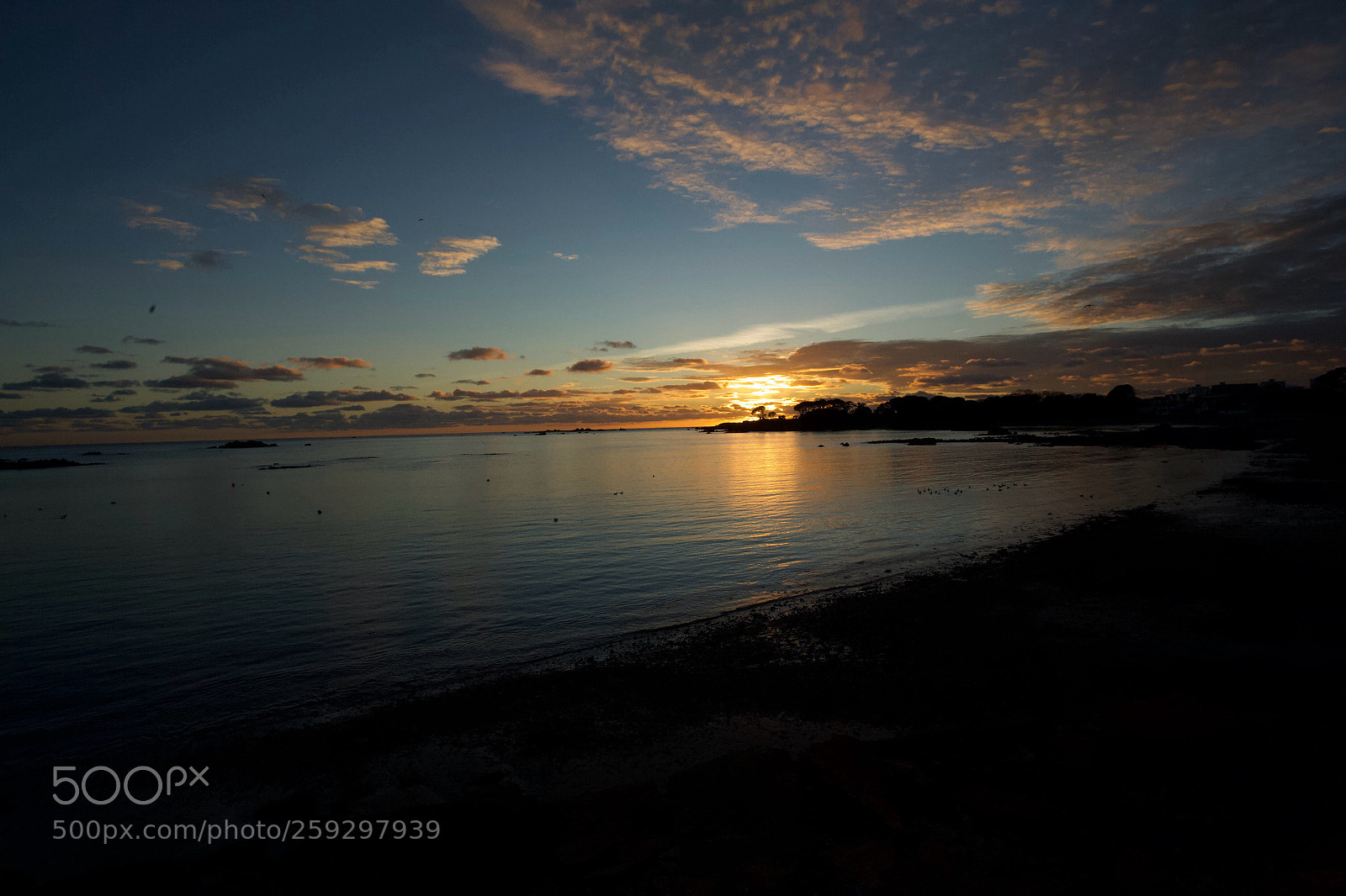 Canon EOS 5D sample photo. Untitled photography
