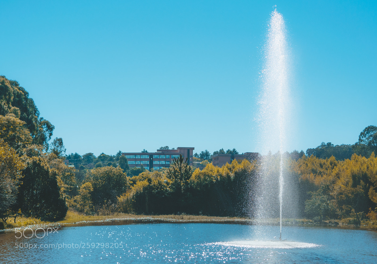 Nikon D5300 sample photo. Relaxing view photography