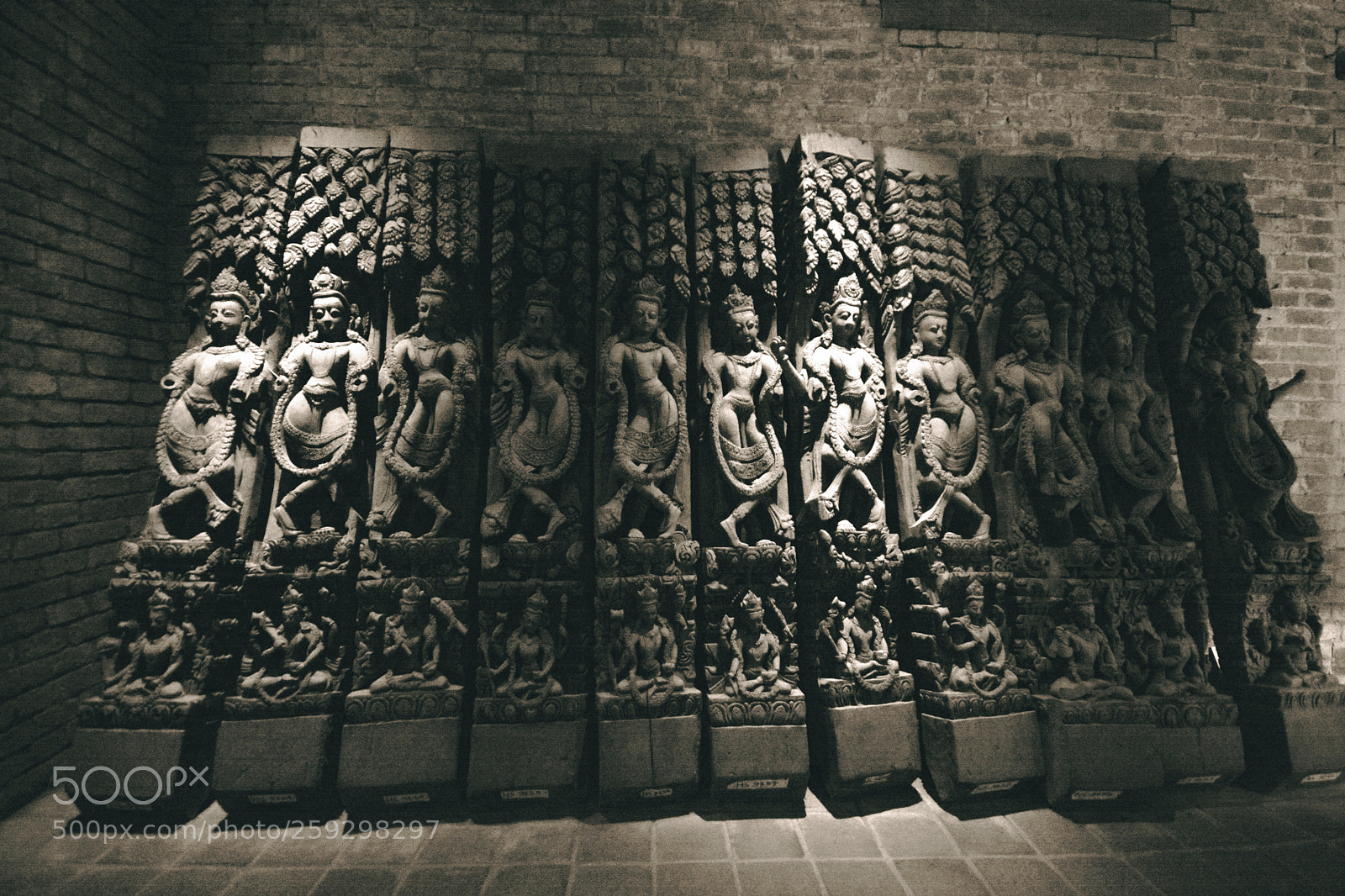 Nikon D7100 sample photo. Missing photography