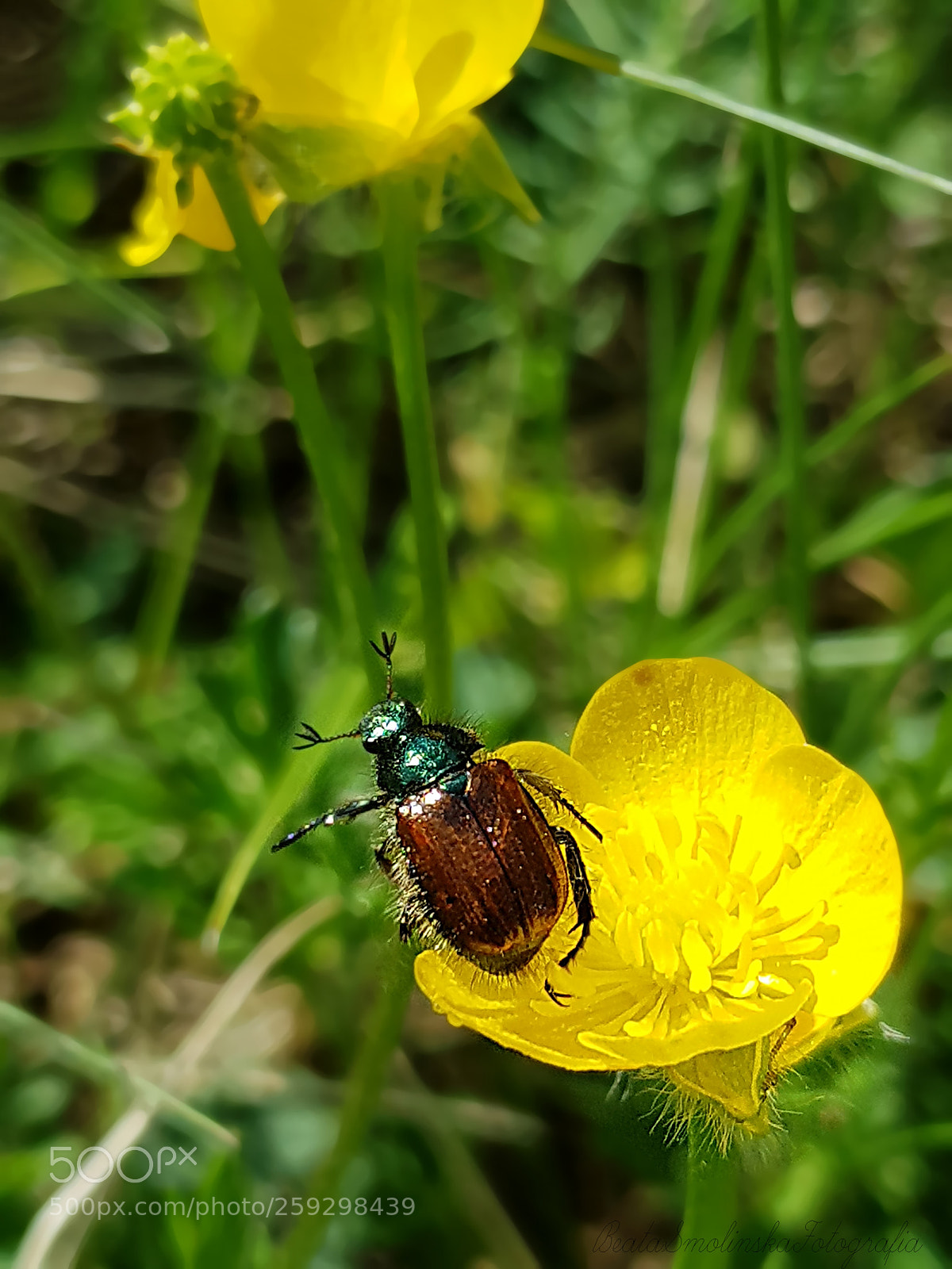 Samsung Galaxy S8 sample photo. Untitled photography