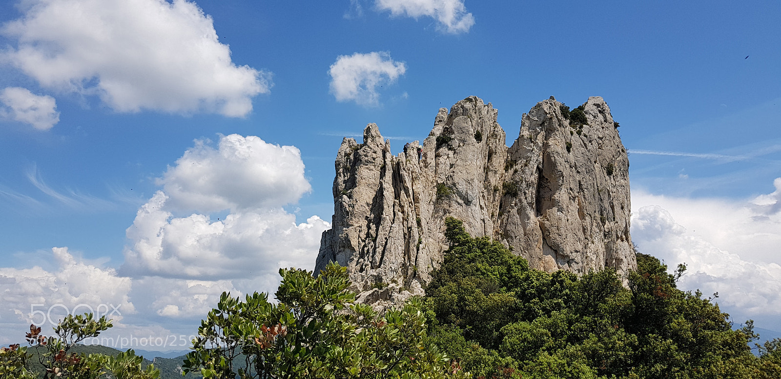 Samsung Galaxy S8 sample photo. Dentelles photography