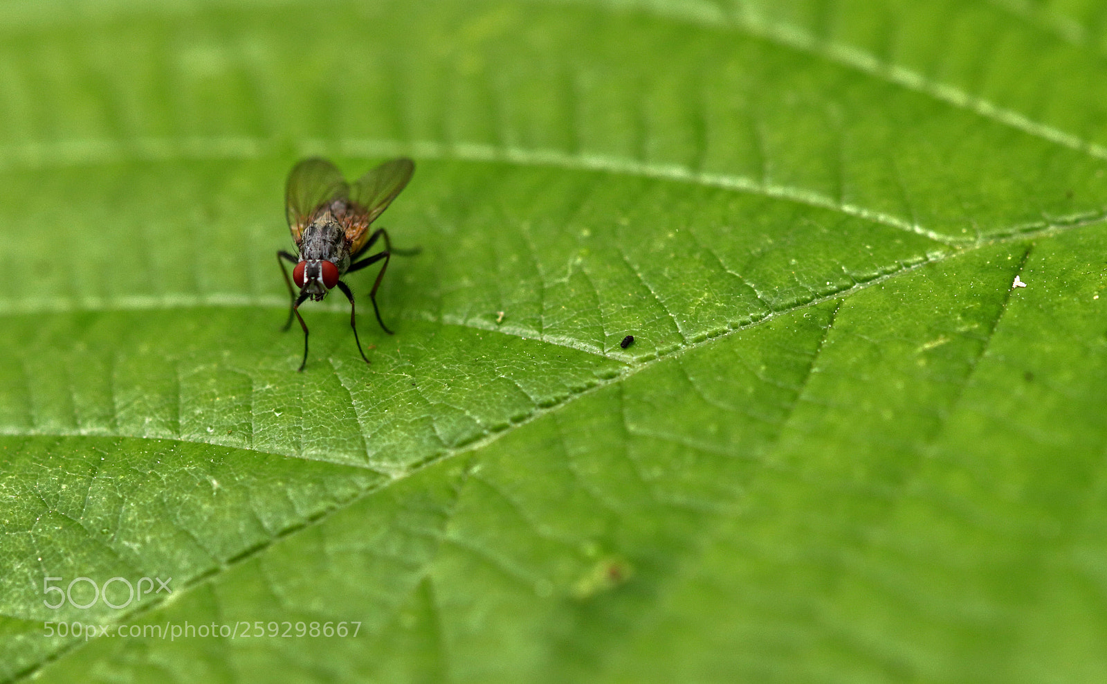 Canon EOS 77D (EOS 9000D / EOS 770D) sample photo. Tranquility  photography