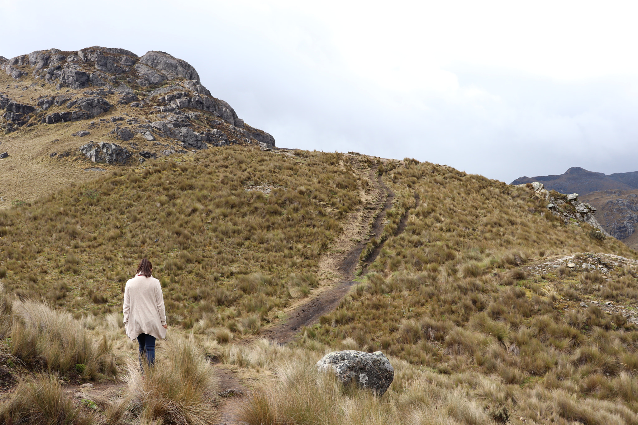 Canon EOS 77D (EOS 9000D / EOS 770D) sample photo. Parque nacional el cajas photography