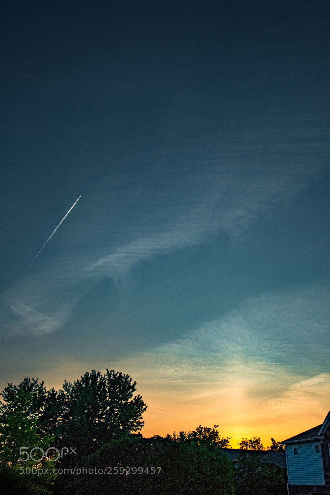 Nikon D810 sample photo. ©ndc_-6132.jpg photography