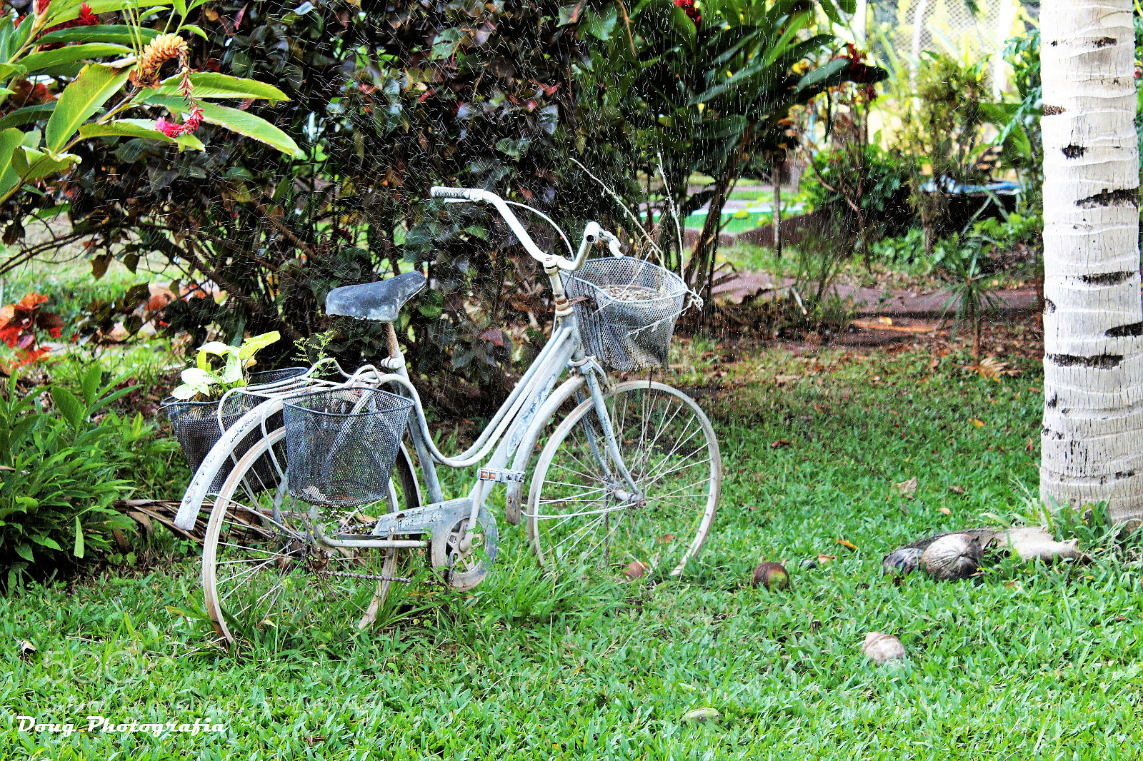 Canon EOS 1200D (EOS Rebel T5 / EOS Kiss X70 / EOS Hi) sample photo. Recycle!!! photography