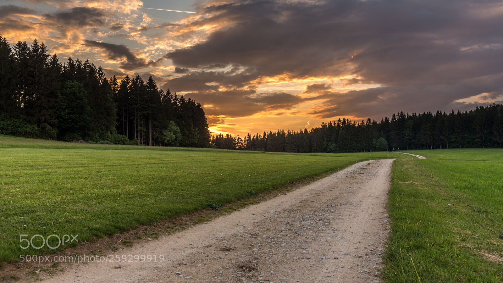 Nikon D750 sample photo. Sunset road photography
