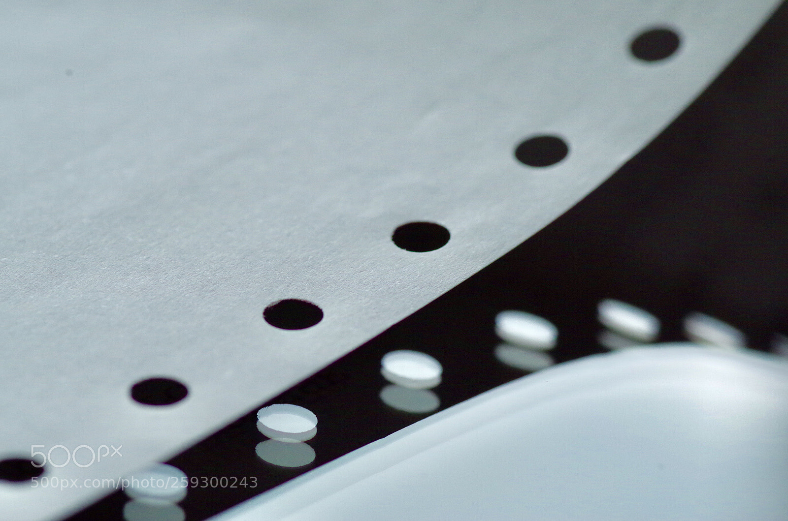 Pentax K-30 sample photo. Feuille perfor e photography