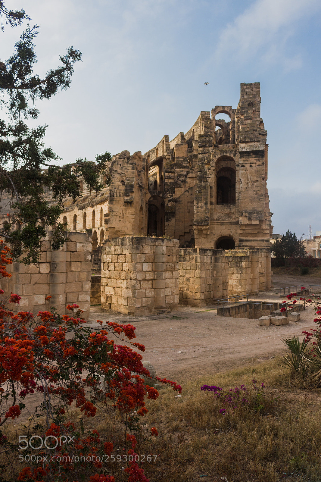Canon EOS 700D (EOS Rebel T5i / EOS Kiss X7i) sample photo. El jem colosseum 2 photography