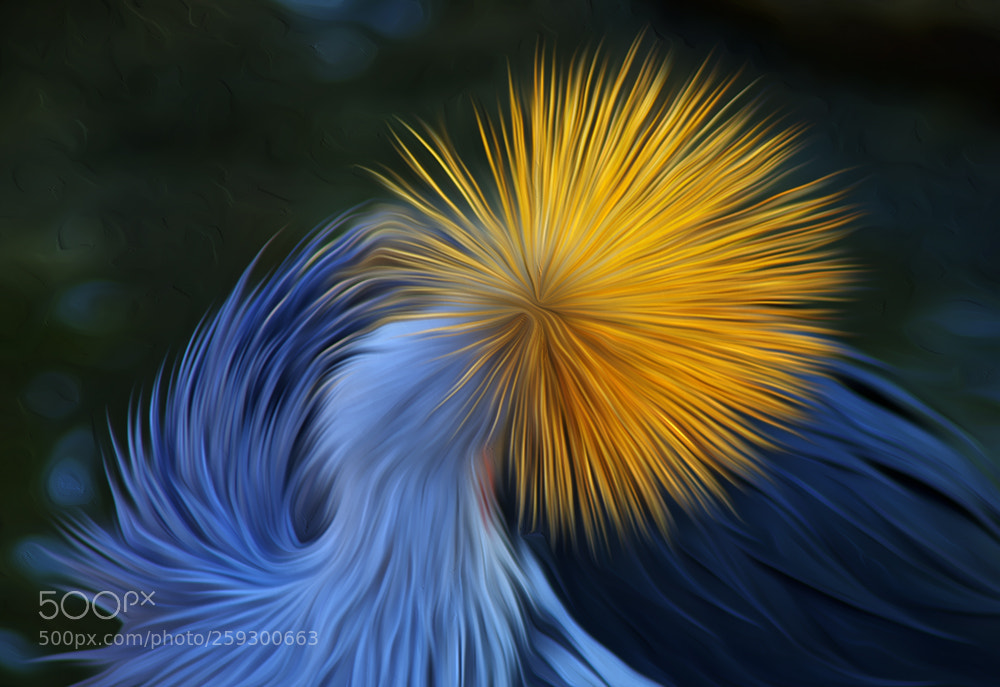 Pentax K-5 sample photo. 368454.jpg photography