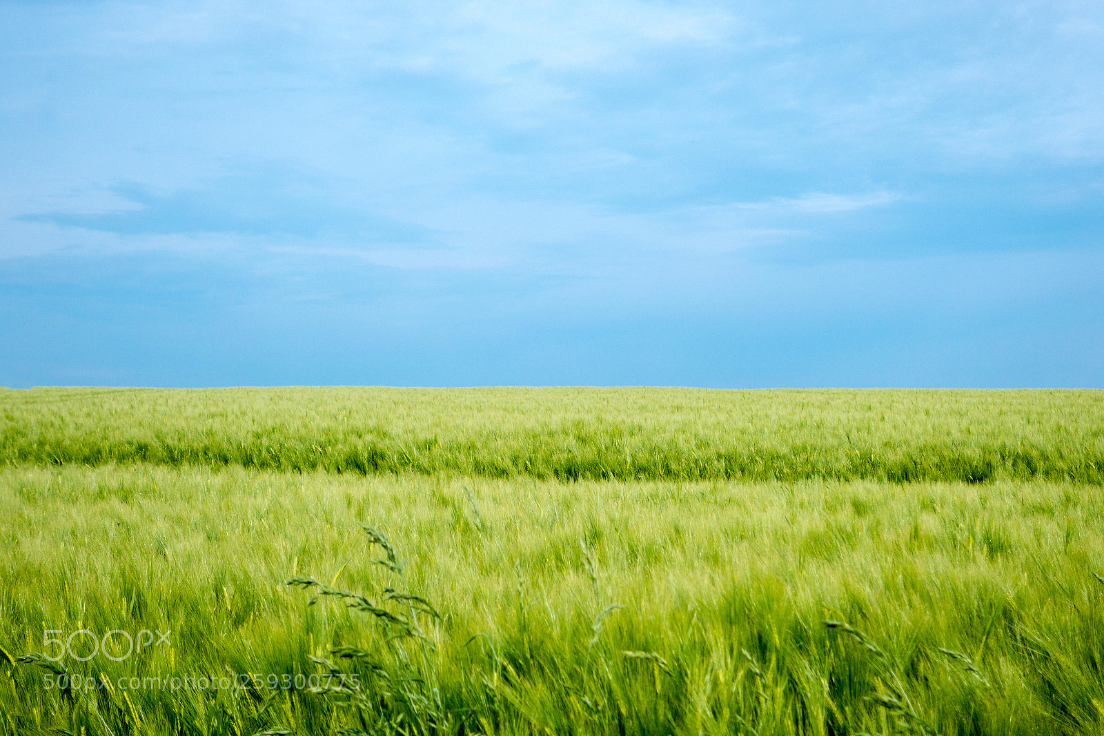 Sony Cyber-shot DSC-RX100 II sample photo. Way to work :-) photography