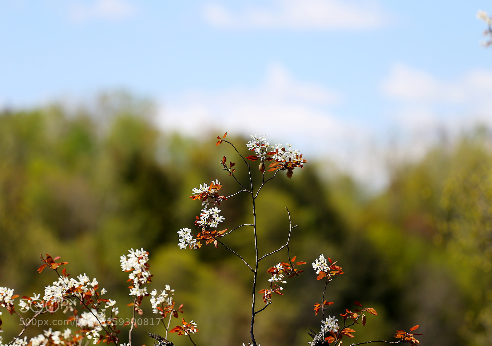 Canon EOS 6D sample photo. Nature lover photography