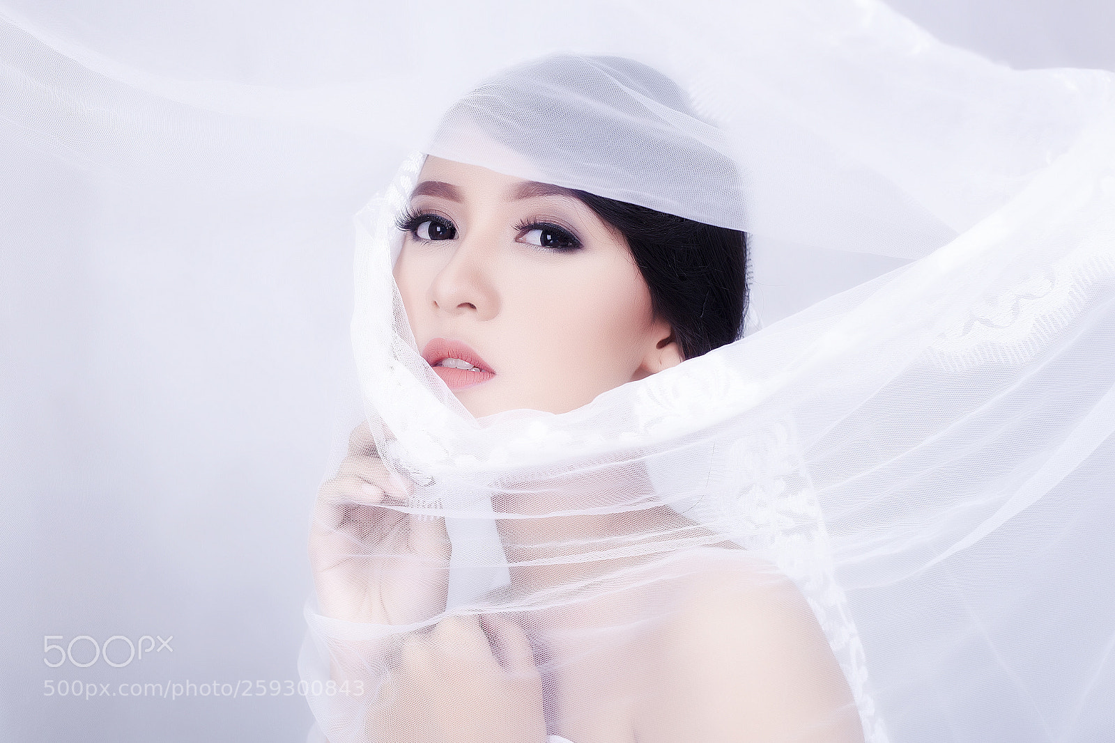 Canon EOS 5D Mark II sample photo. Untitled photography