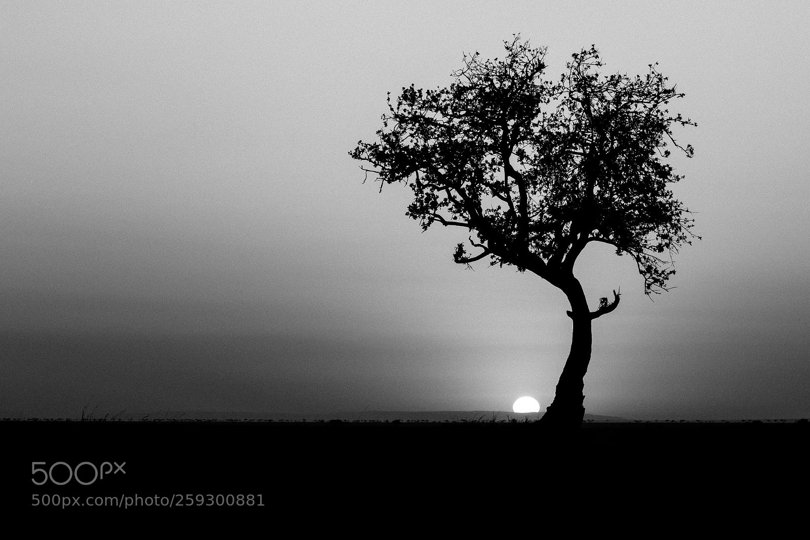 Canon EOS 7D Mark II sample photo. _d2a2882-2.jpg photography