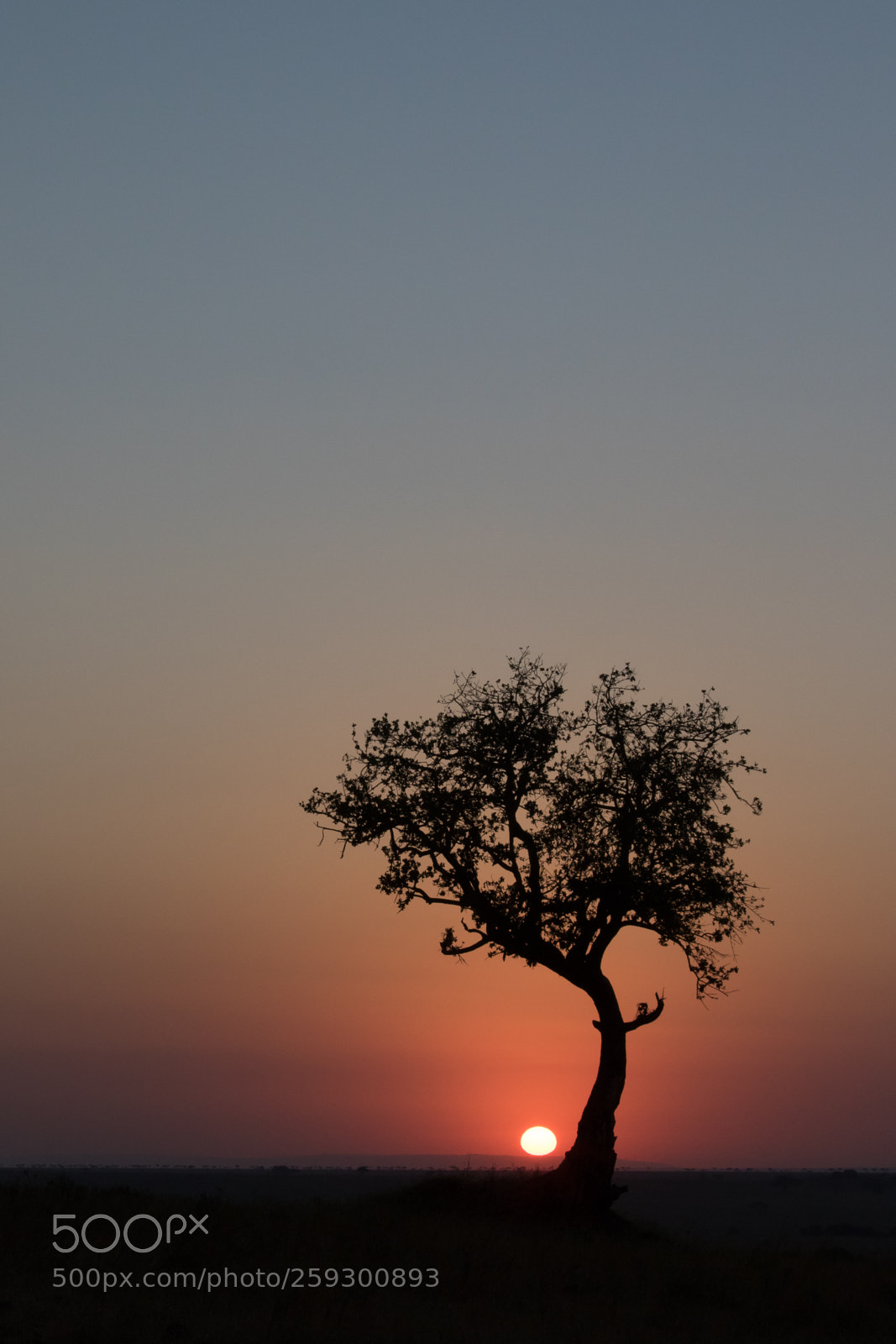 Canon EOS 7D Mark II sample photo. Da photography