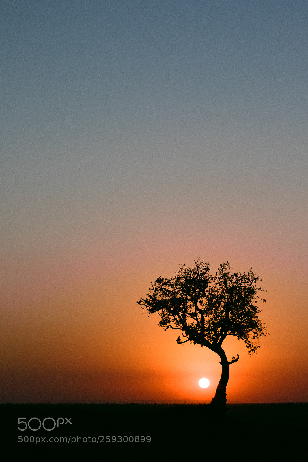Canon EOS 7D Mark II sample photo. Da photography