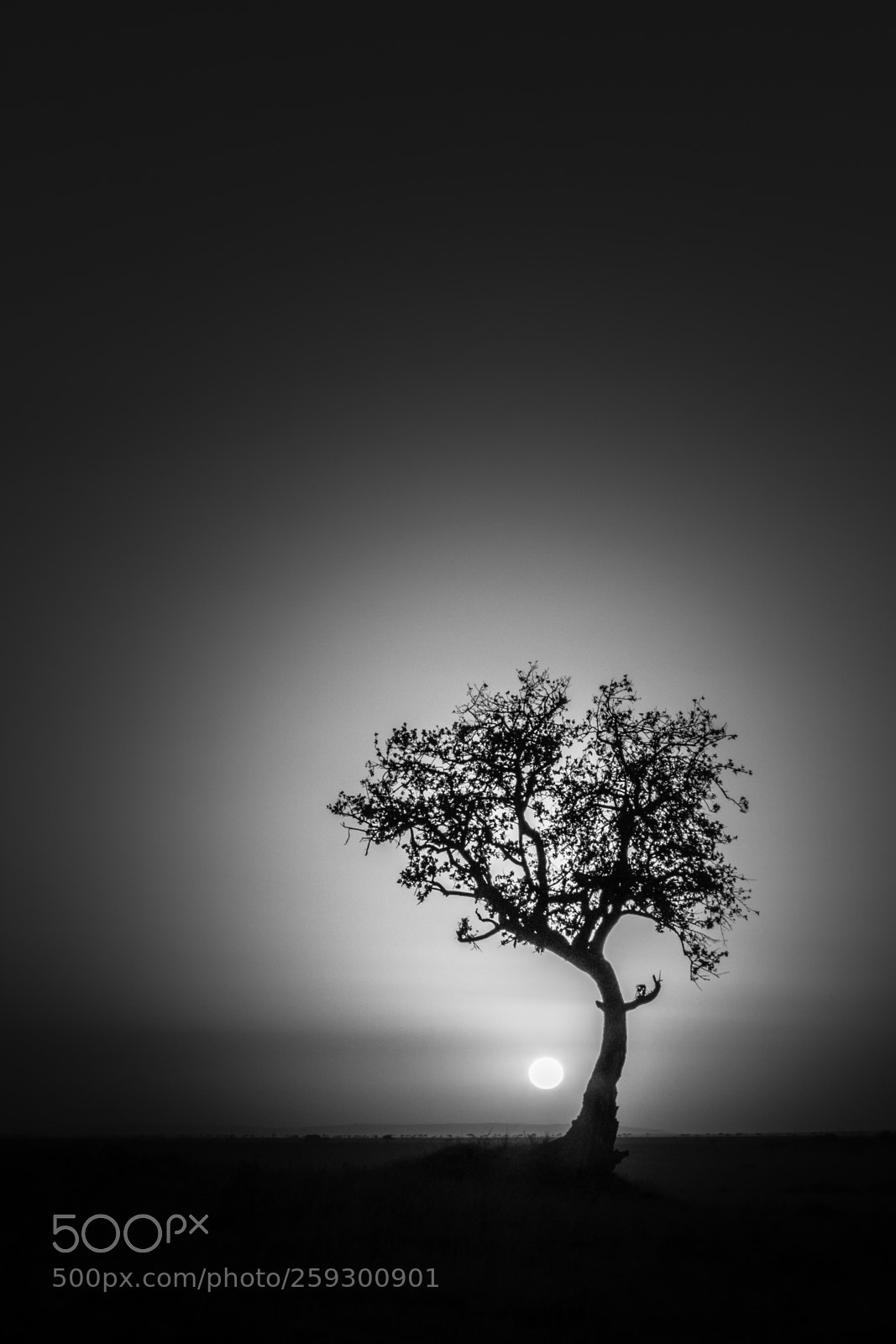 Canon EOS 7D Mark II sample photo. _d2a2890-2.jpg photography