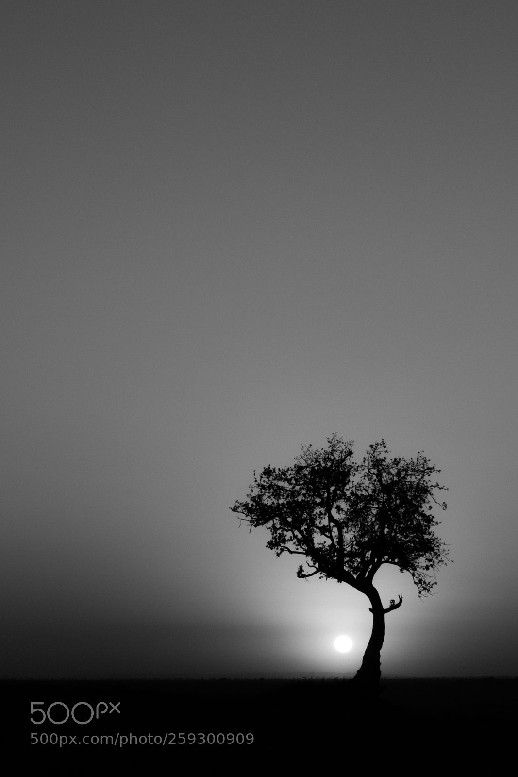 Canon EOS 7D Mark II sample photo. _d2a2893-2.jpg photography