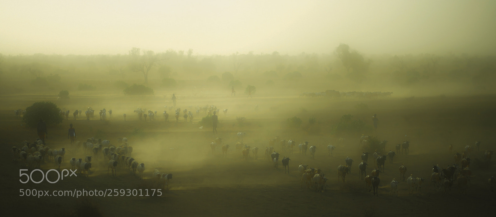 Fujifilm X-T2 sample photo. Duststorm at kangate photography