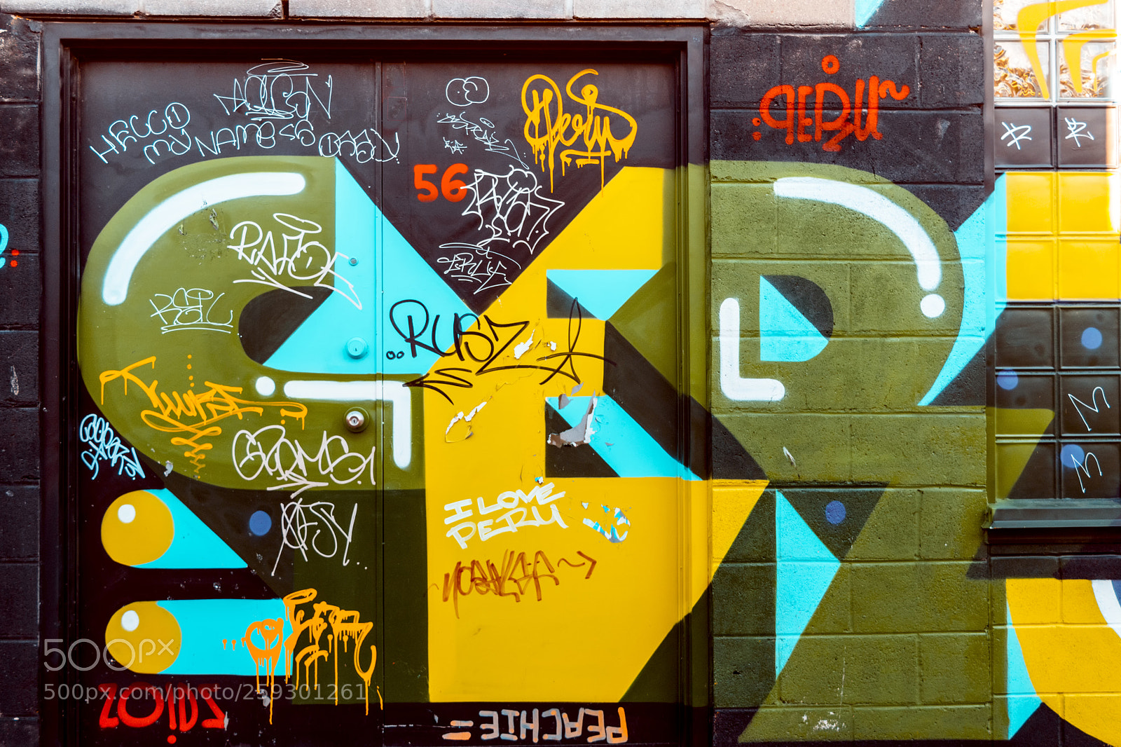 Nikon D5500 sample photo. Door photography