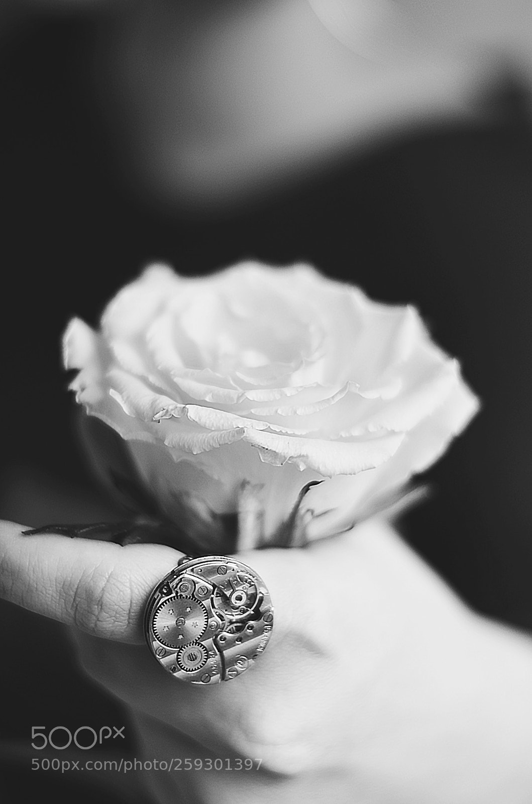 Nikon D5100 sample photo. Hands on art project photography