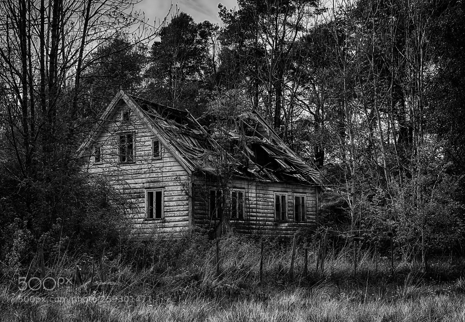 Nikon D800 sample photo. Old house photography