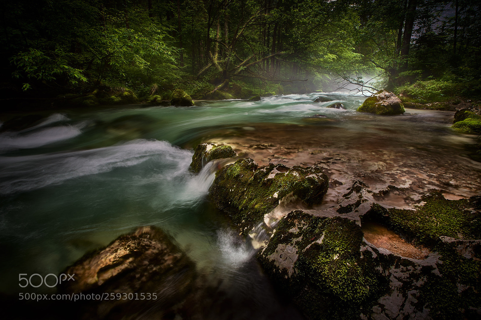 Nikon D500 sample photo. Mist over the river photography