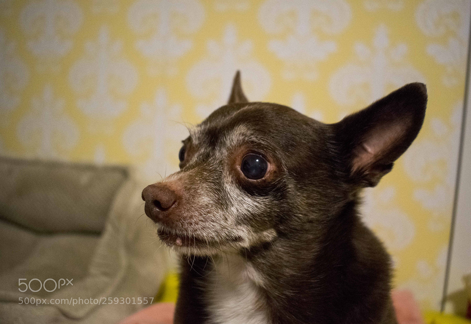 Nikon D5300 sample photo. Dsc photography