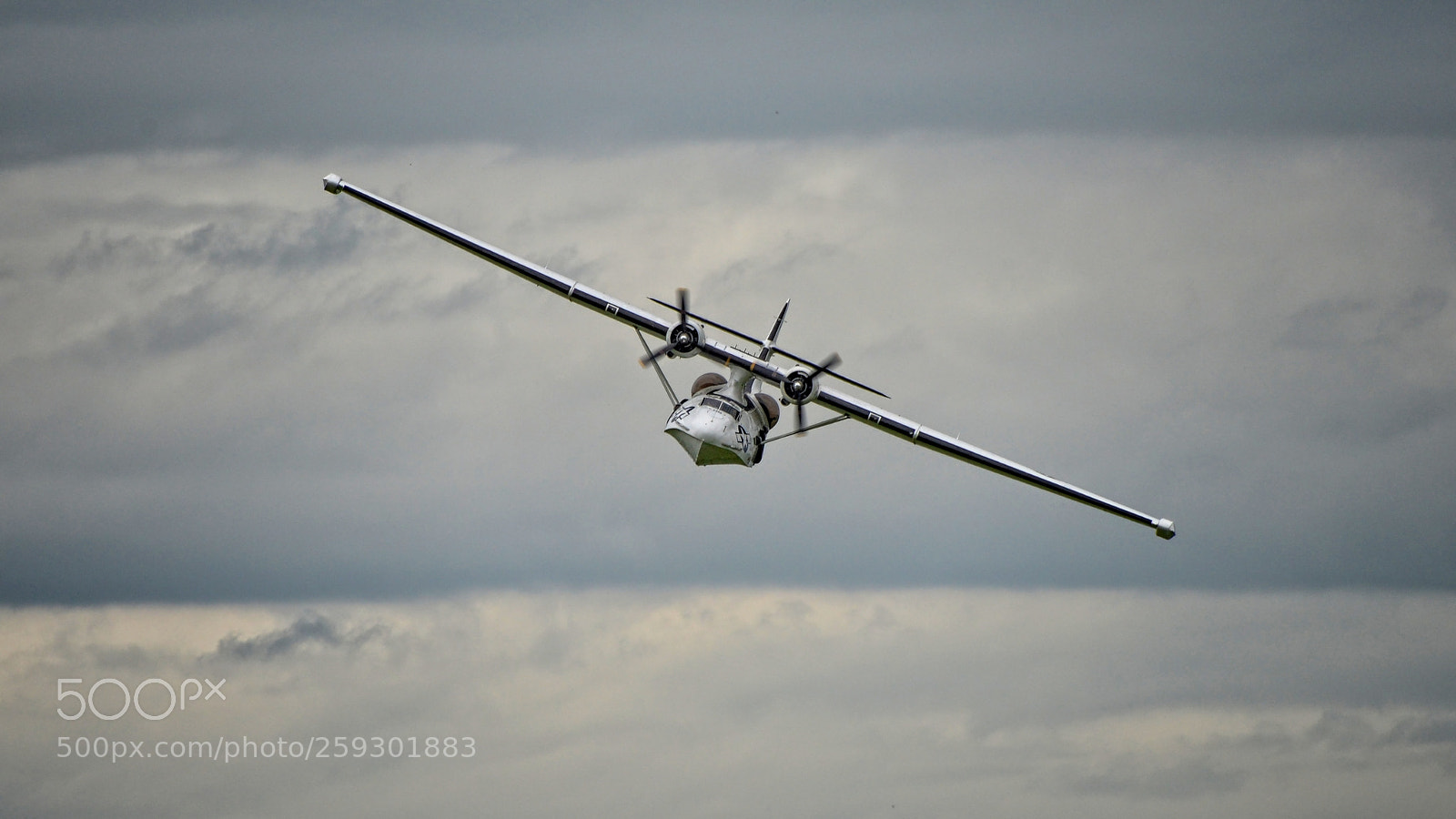 Nikon D610 sample photo. Pby catalina photography