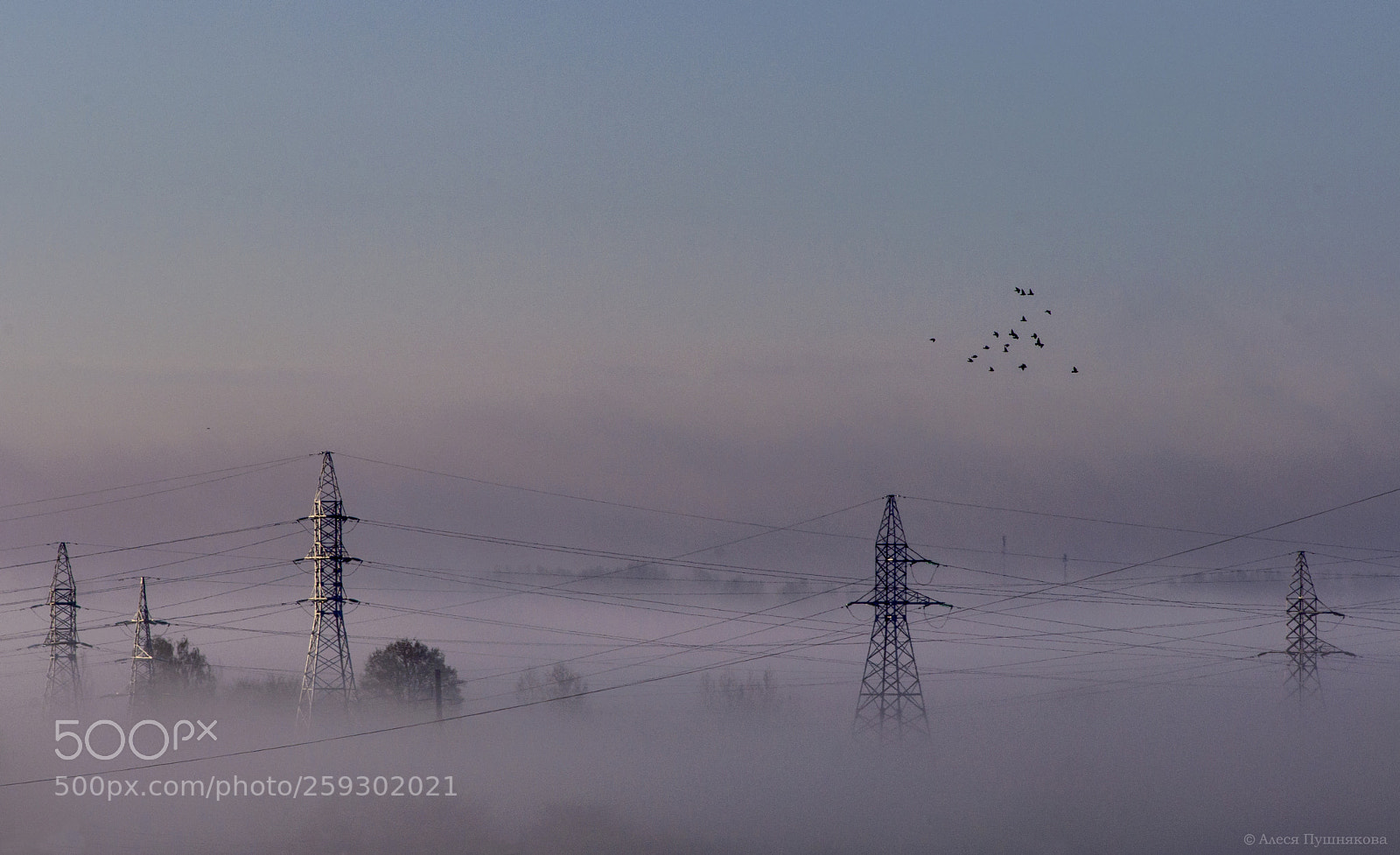 Nikon D90 sample photo. Morning mistery photography