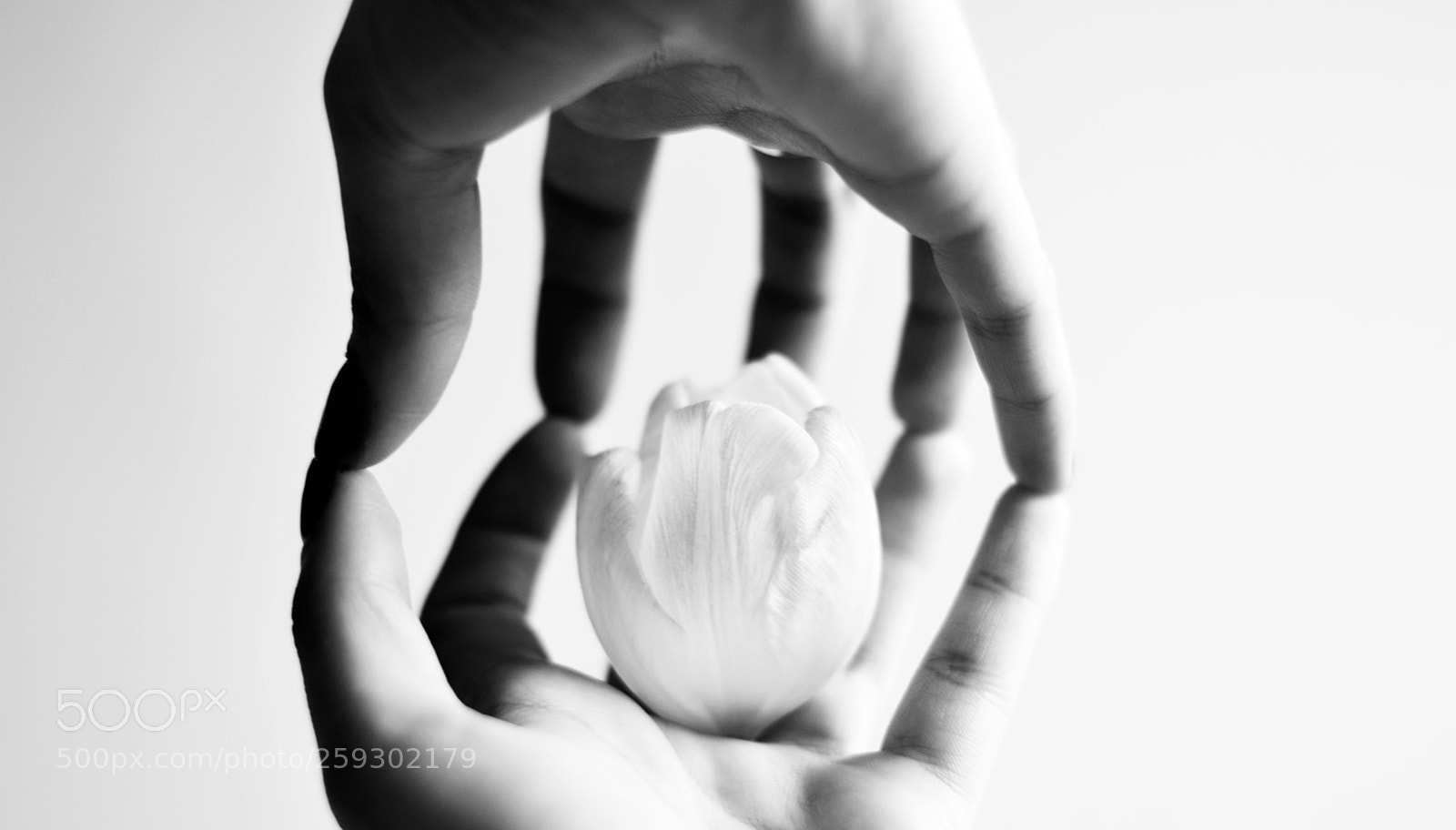 Nikon D5100 sample photo. Hands on art project photography