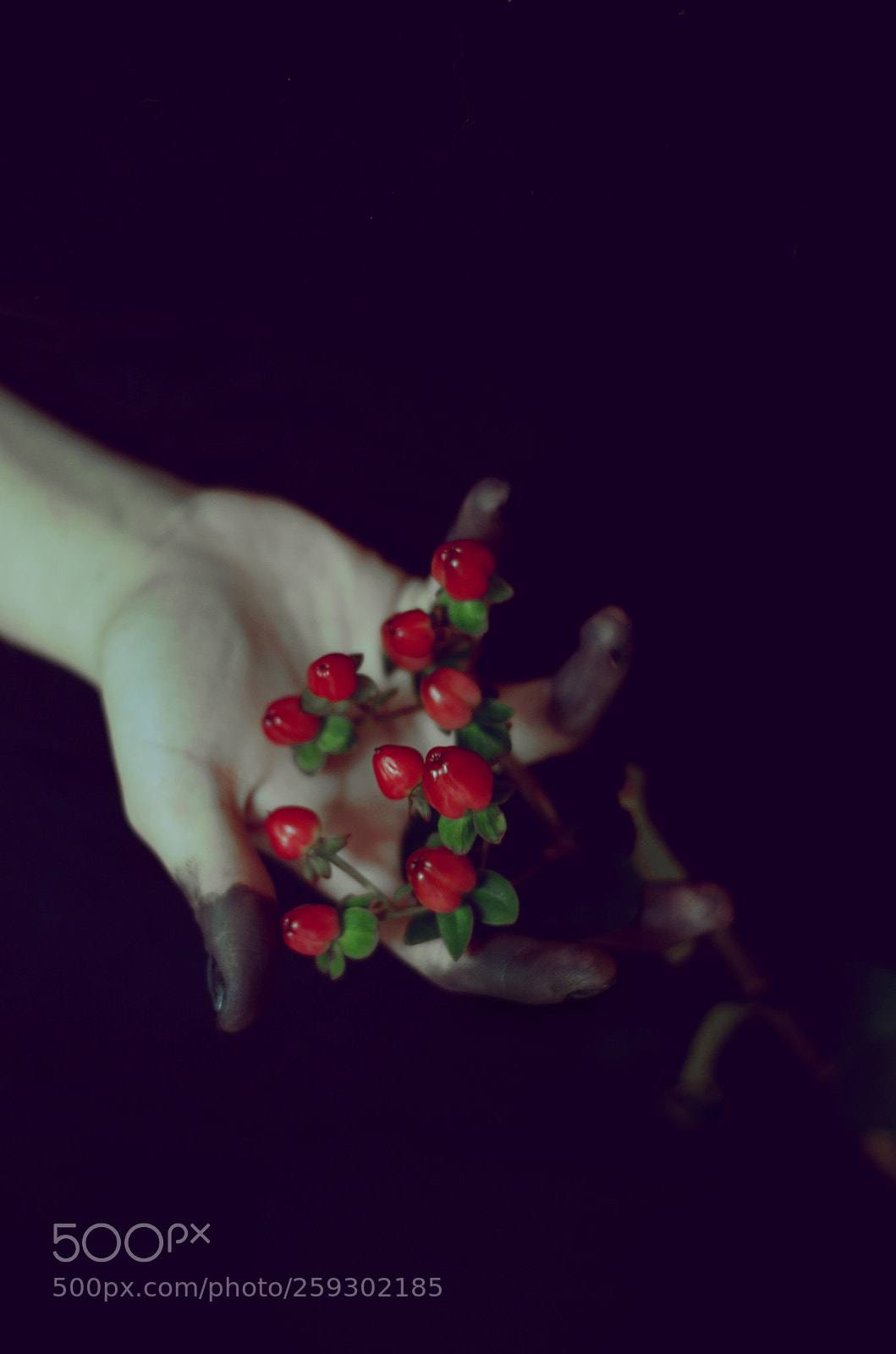 Nikon D5100 sample photo. Hands on art project photography