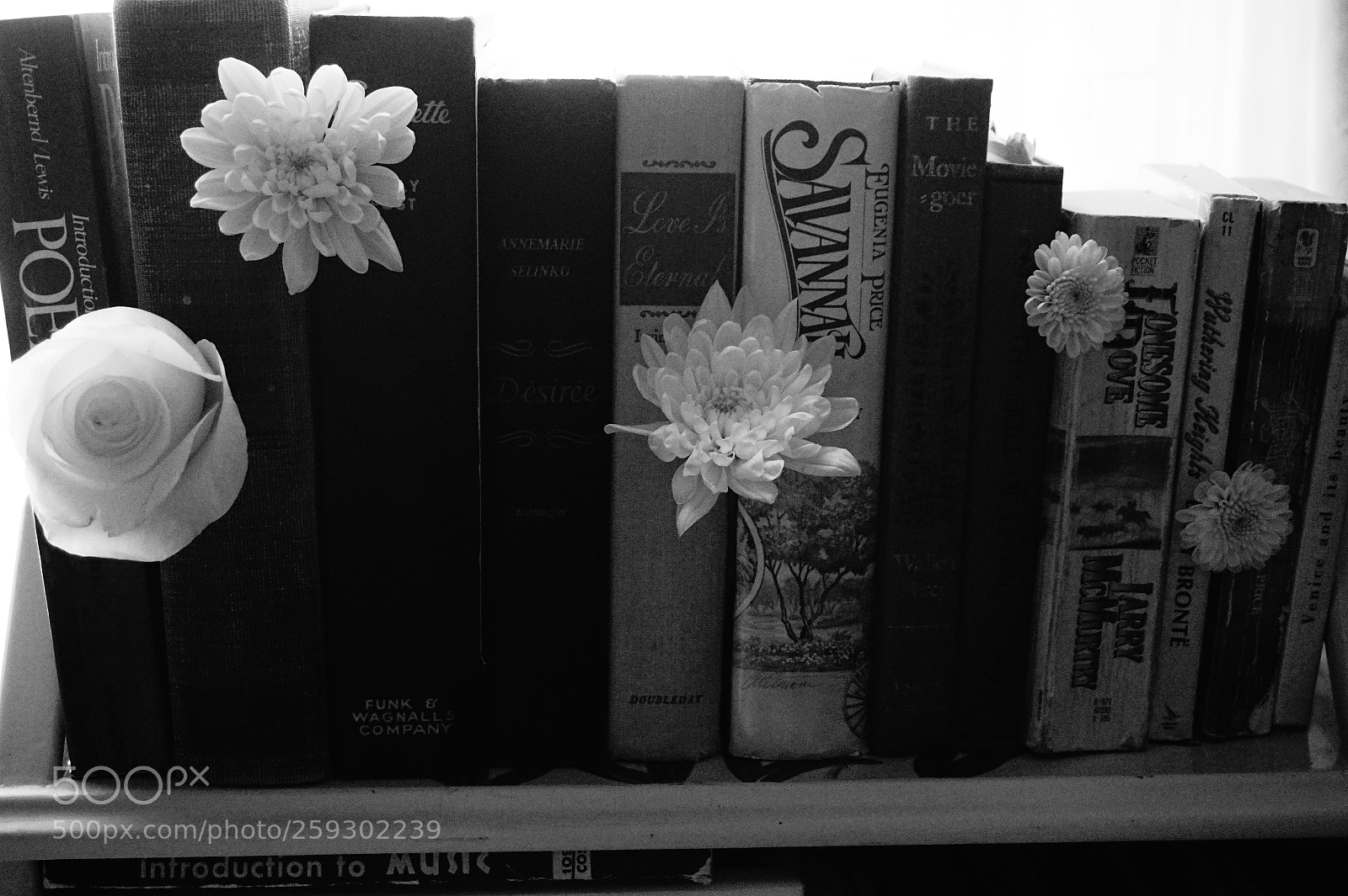 Sony Alpha a5000 (ILCE 5000) sample photo. Dsc photography