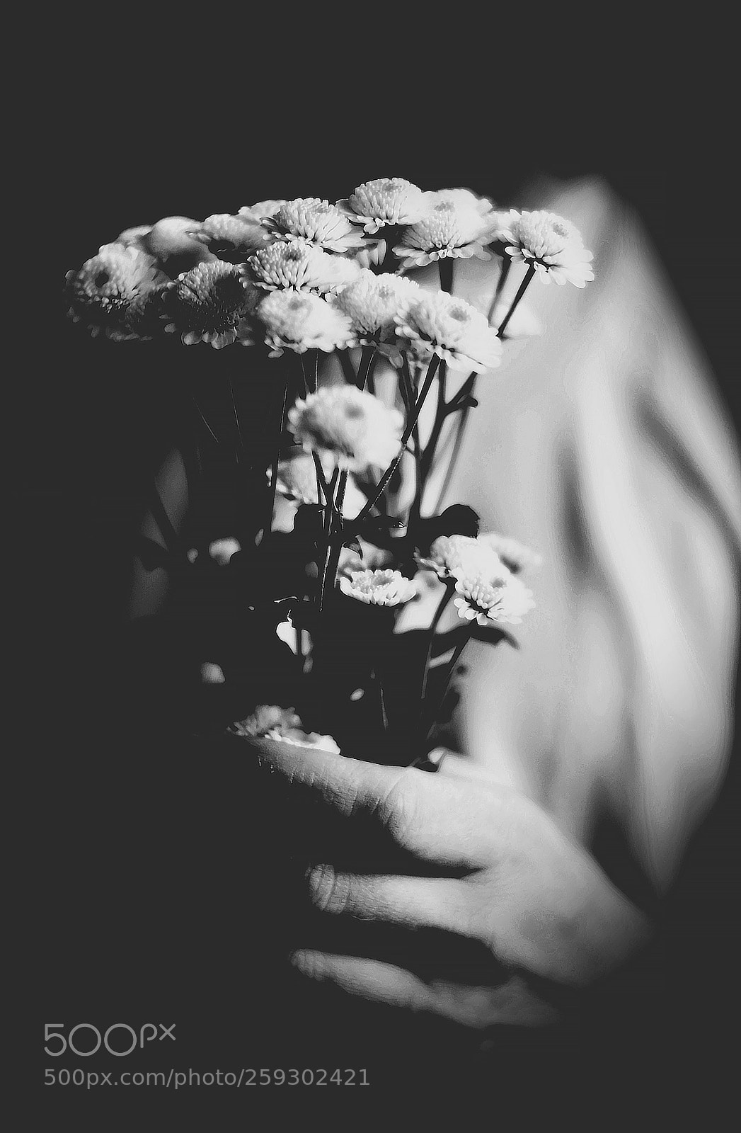 Nikon D5100 sample photo. Hands on art project photography