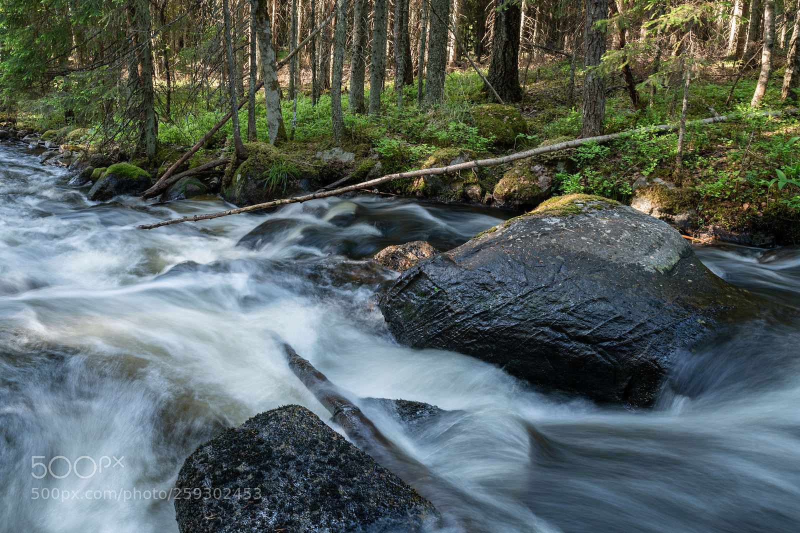 Nikon D850 sample photo. A creek in the photography