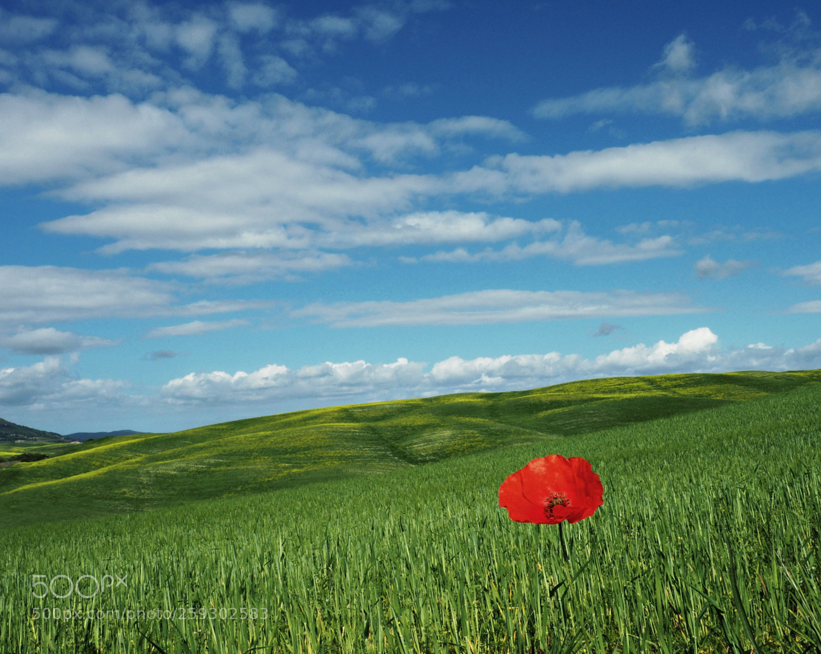 Olympus OM-D E-M5 II sample photo. Alone photography