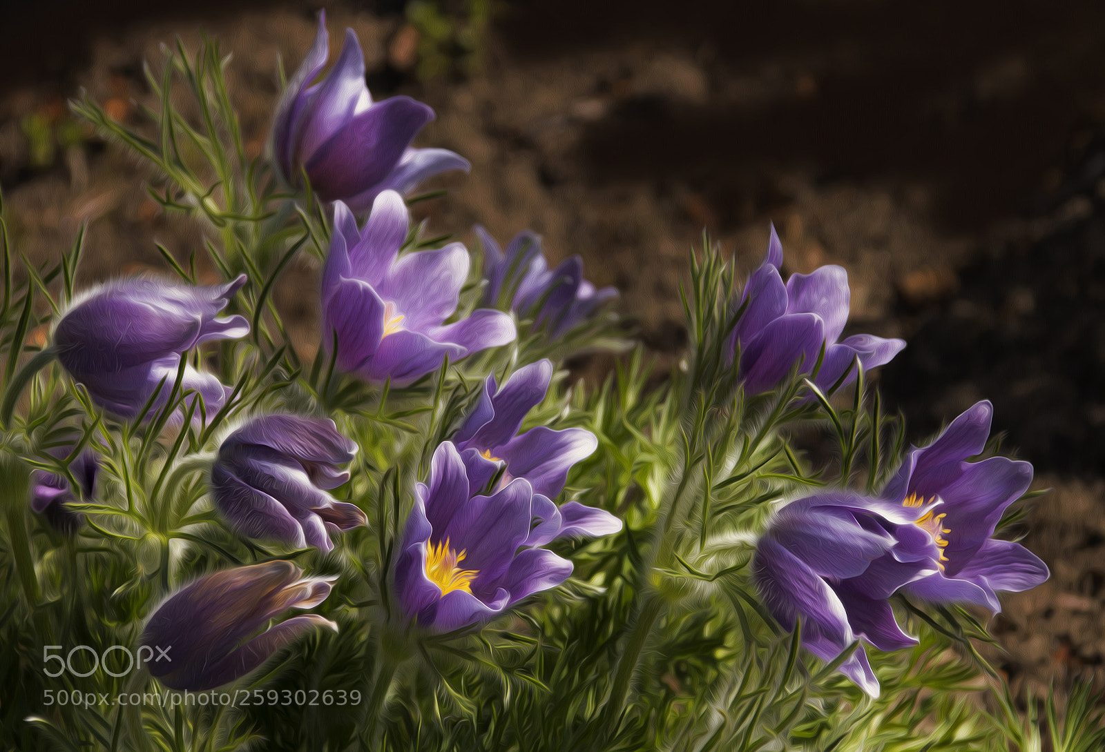 Canon EOS 70D sample photo. Spring secrets photography