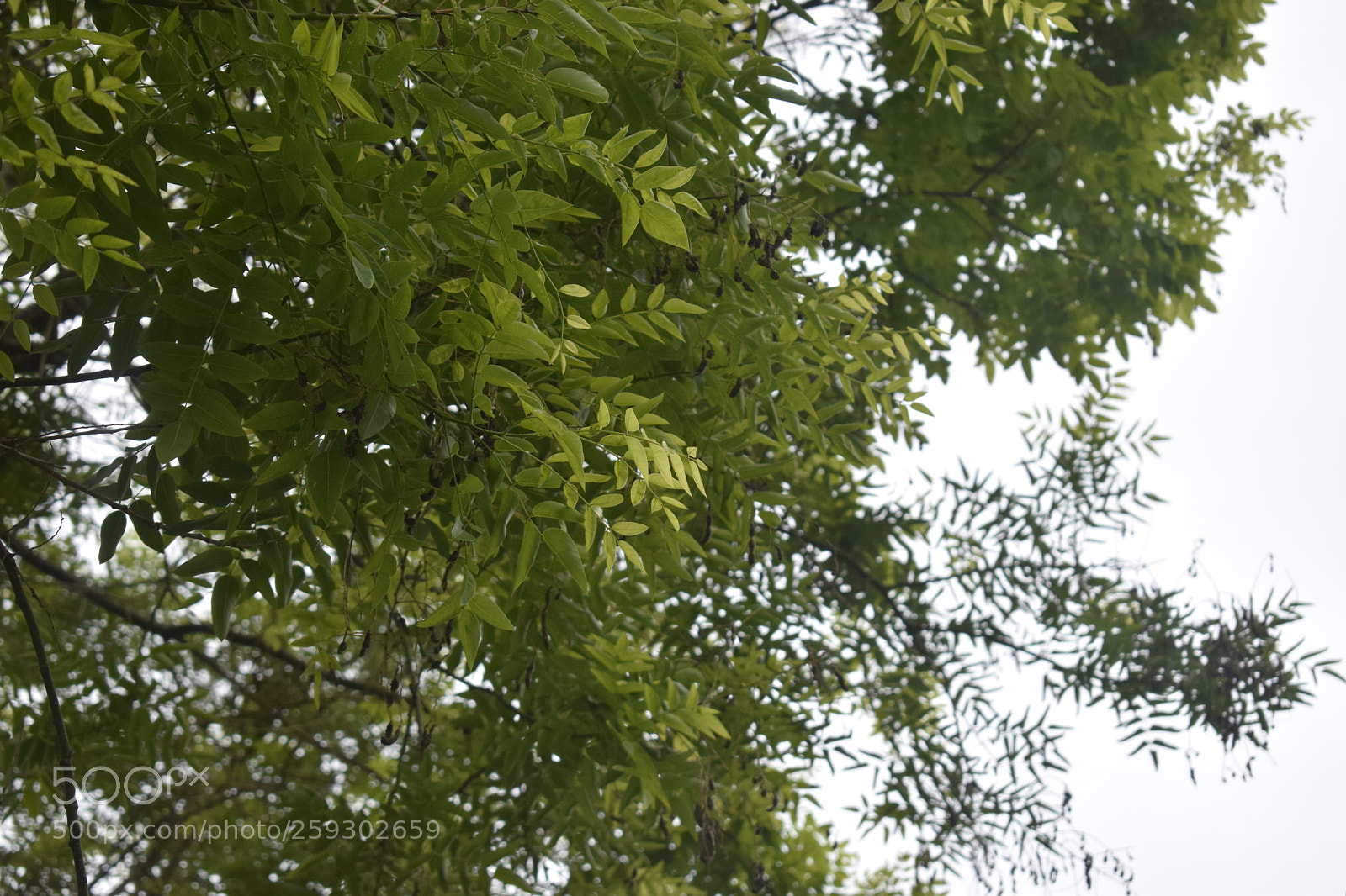 Nikon D5300 sample photo. Dsc photography
