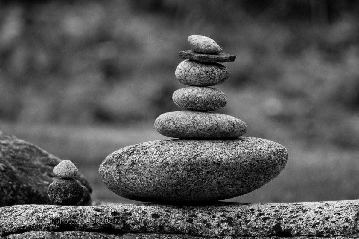 Nikon D3100 sample photo. Balanced photography