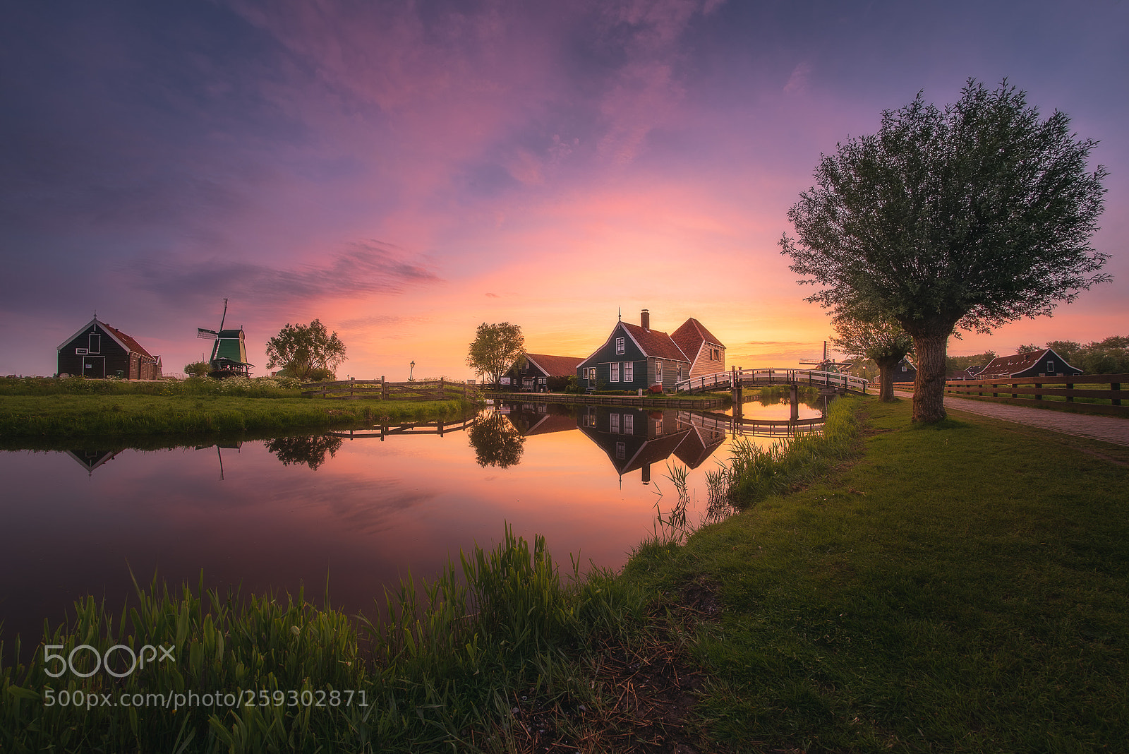 Nikon D810 sample photo. Good morning holland! photography