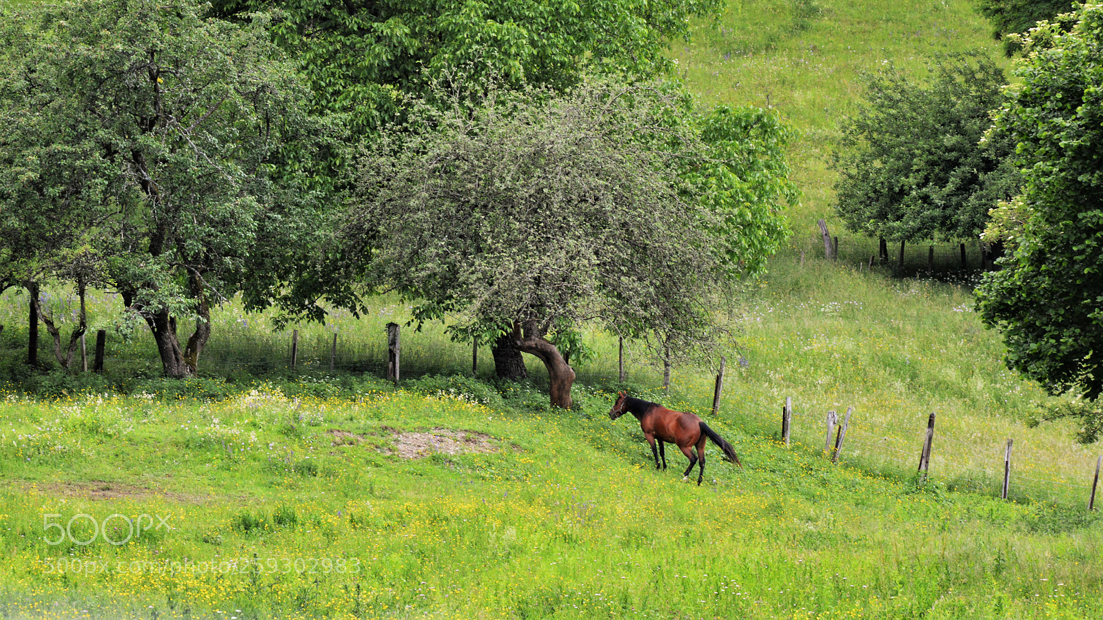 Nikon D3200 sample photo. Untitled photography