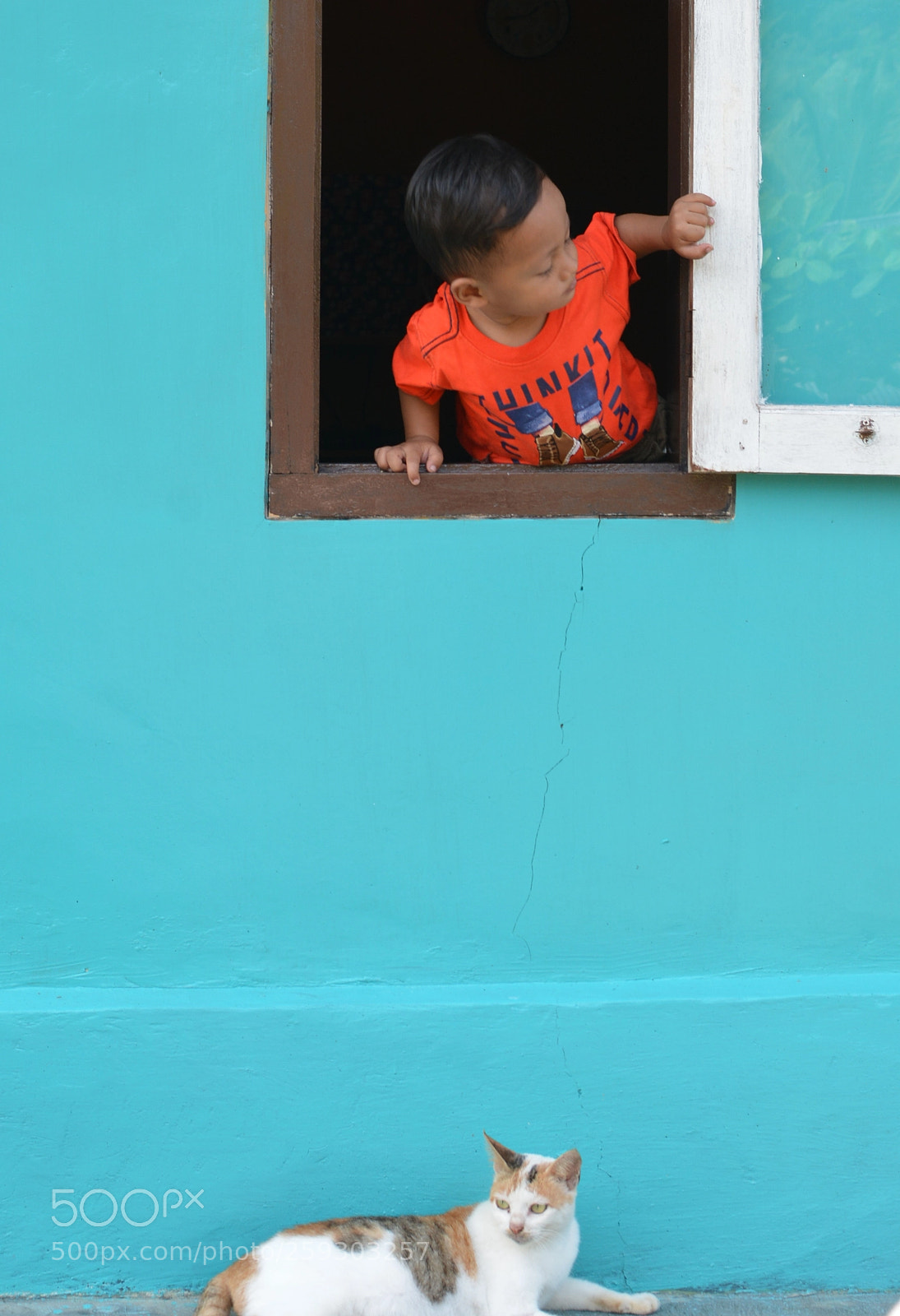 Nikon D7100 sample photo. Hiding photography