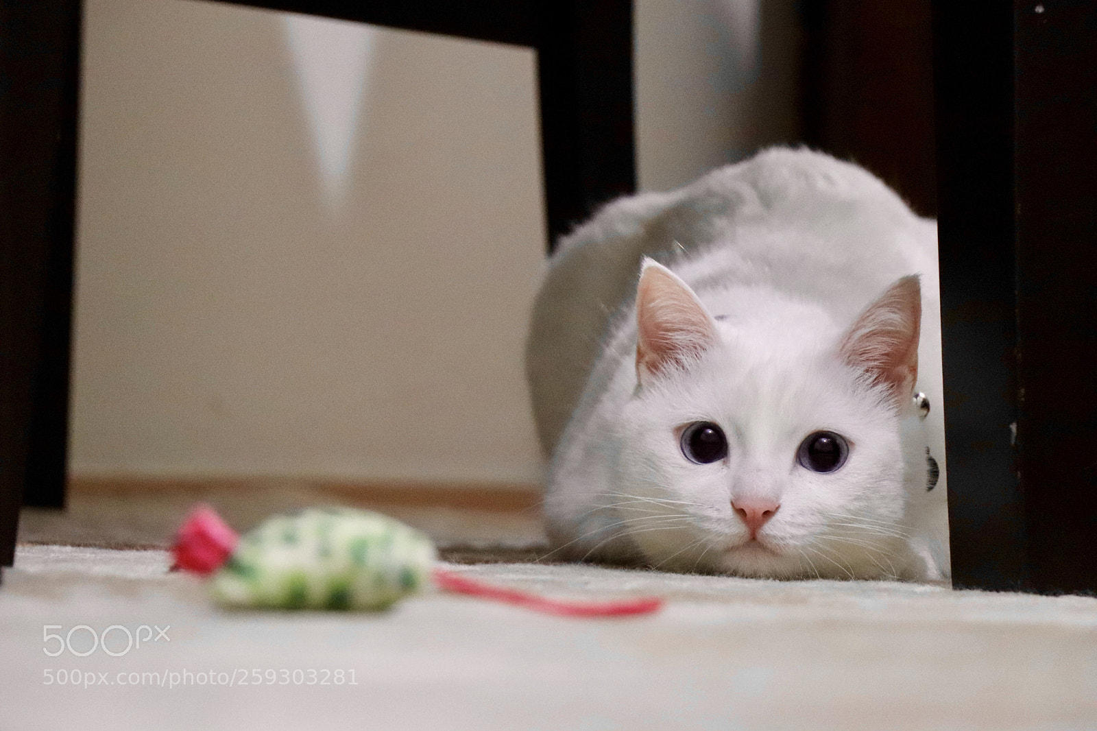 Canon EOS 77D (EOS 9000D / EOS 770D) sample photo. Untitled photography