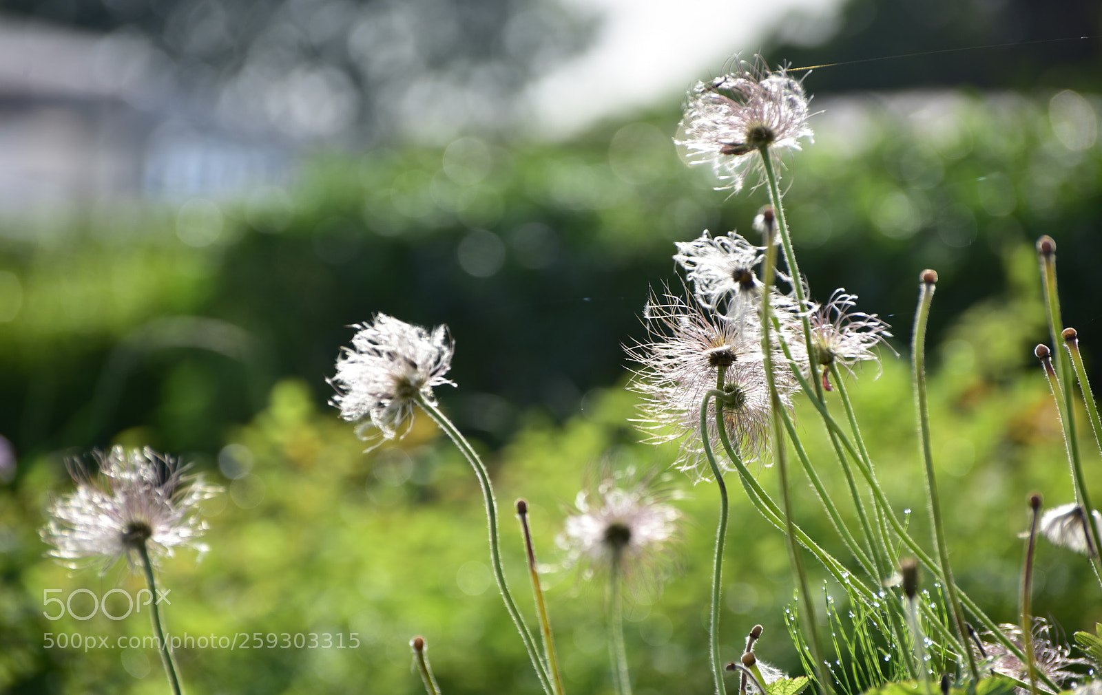Nikon D810 sample photo. Untitled photography