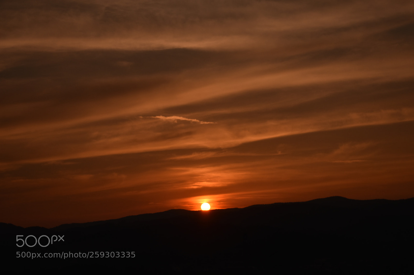 Nikon D3400 sample photo. Sun photography
