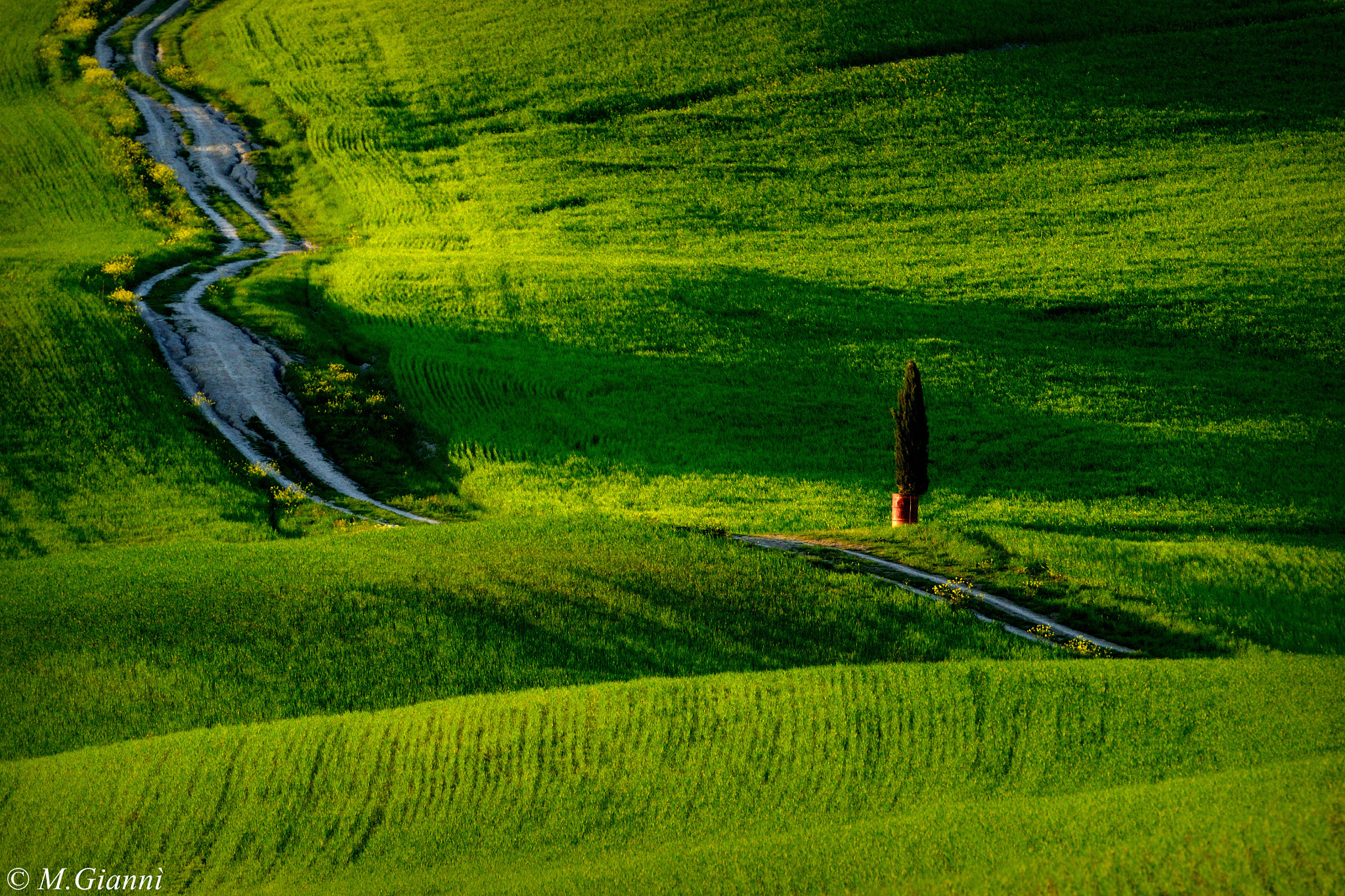 Nikon D3100 + Tamron SP 70-300mm F4-5.6 Di VC USD sample photo. Sentieri in val d'orcia photography