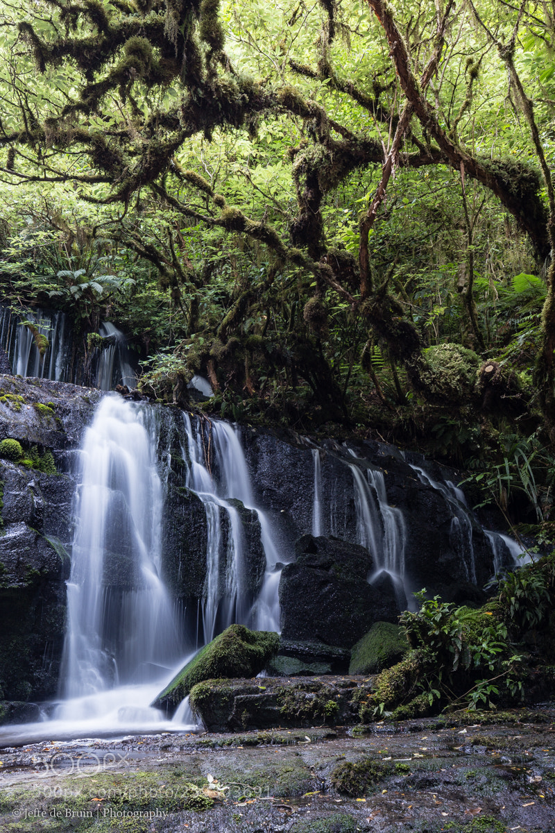 Canon EOS 6D sample photo. Deepwood flow photography